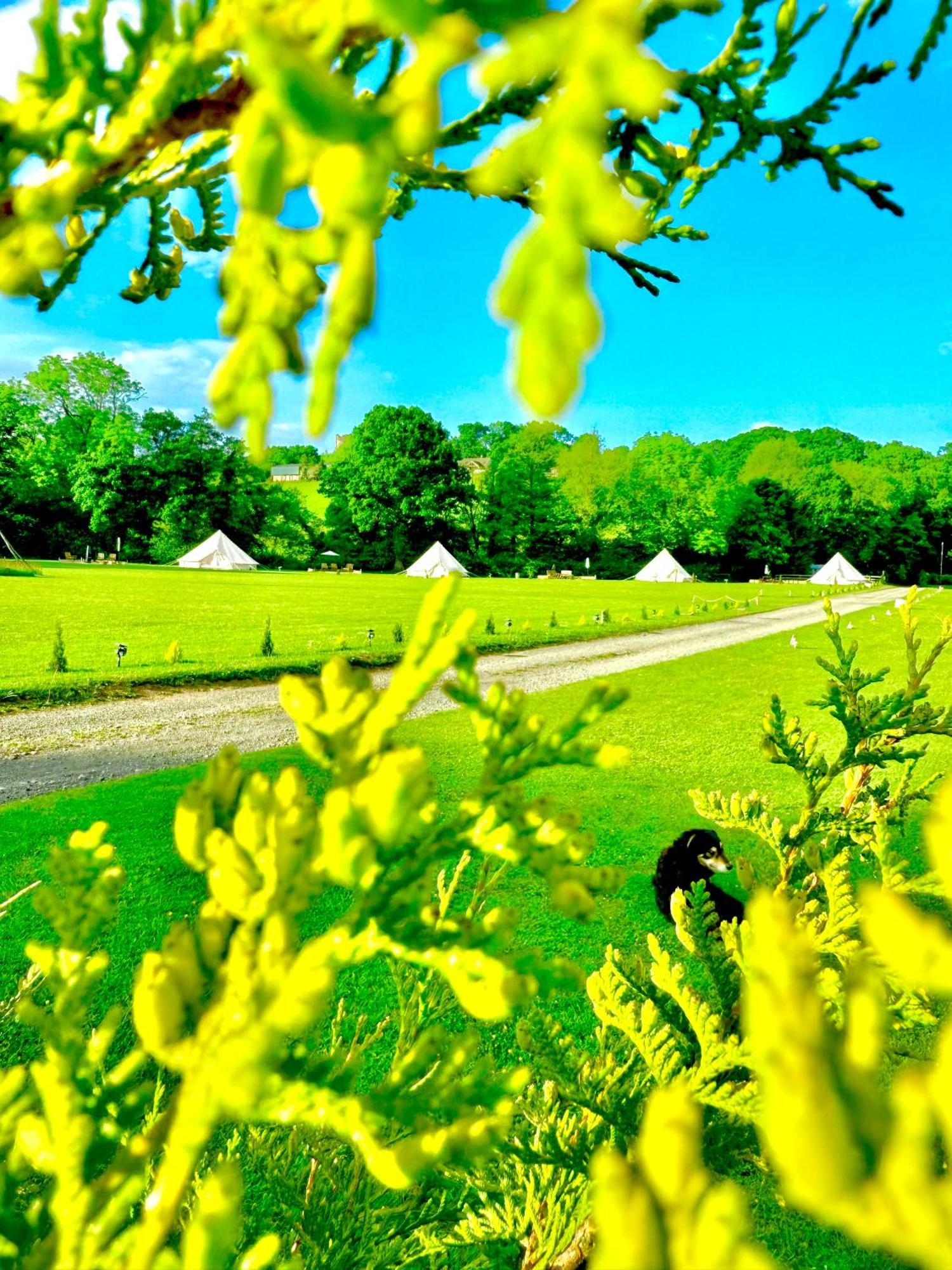 Cayoretreat Luxury Bell Tent Clodock Extérieur photo
